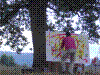 Clair-de-lune-06.JPG